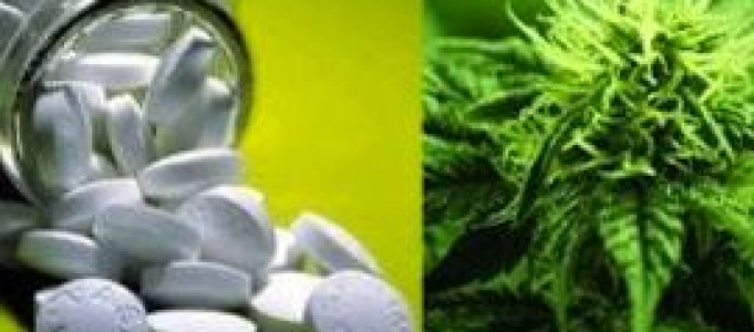 Cannabis Vs. Prescription Pain Killers